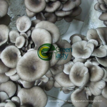 Venta al por mayor IQF Organic Baby Oyser Mushroom